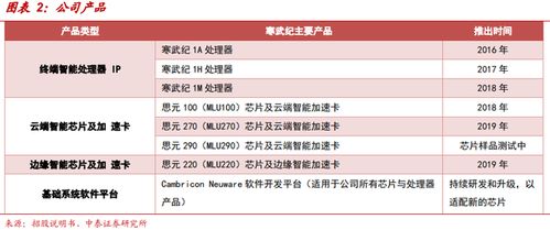 寒武紀(jì) AI芯片獨(dú)角獸的突圍之路與工業(yè)互聯(lián)網(wǎng)數(shù)據(jù)服務(wù)的新航向
